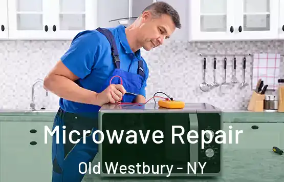  Microwave Repair Old Westbury - NY