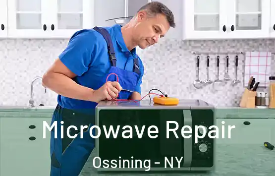  Microwave Repair Ossining - NY