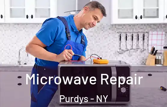  Microwave Repair Purdys - NY