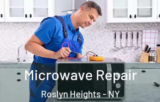  Microwave Repair Roslyn Heights - NY