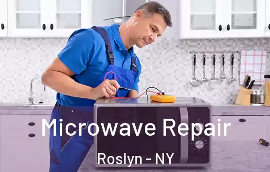  Microwave Repair Roslyn - NY