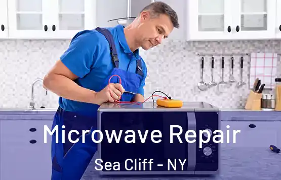 Microwave Repair Sea Cliff - NY