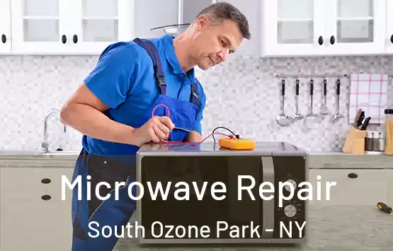  Microwave Repair South Ozone Park - NY