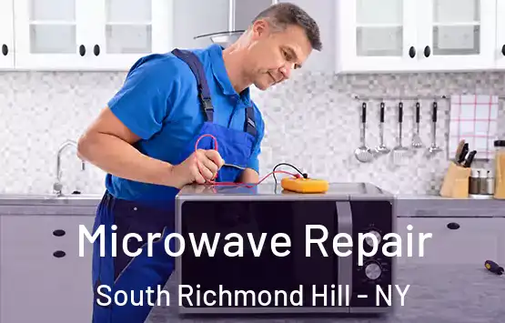  Microwave Repair South Richmond Hill - NY