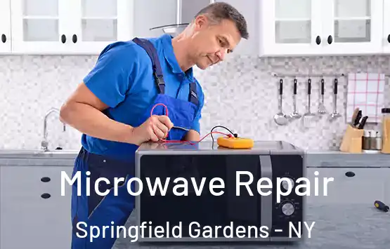  Microwave Repair Springfield Gardens - NY
