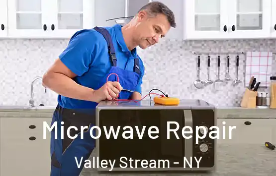  Microwave Repair Valley Stream - NY