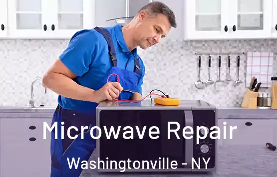  Microwave Repair Washingtonville - NY