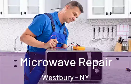  Microwave Repair Westbury - NY
