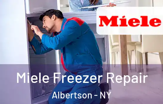  Miele Freezer Repair Albertson - NY