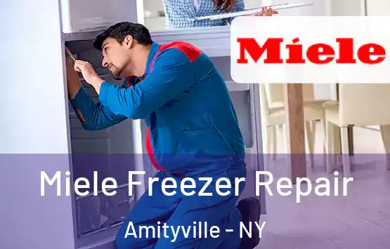  Miele Freezer Repair Amityville - NY
