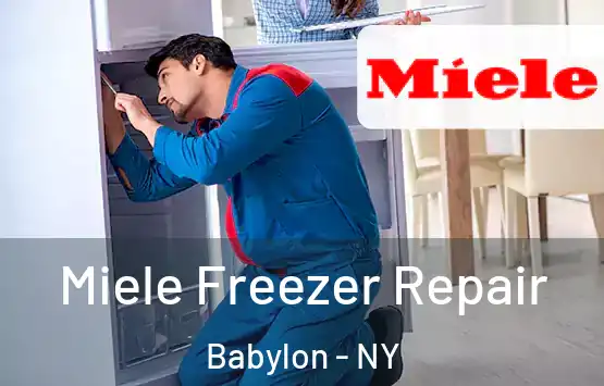  Miele Freezer Repair Babylon - NY