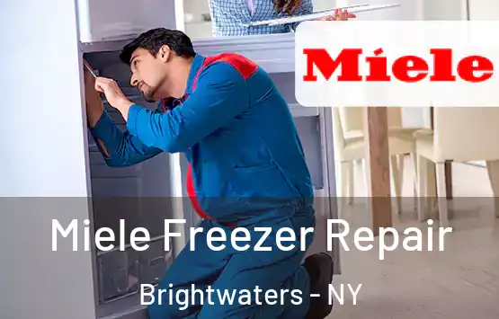  Miele Freezer Repair Brightwaters - NY