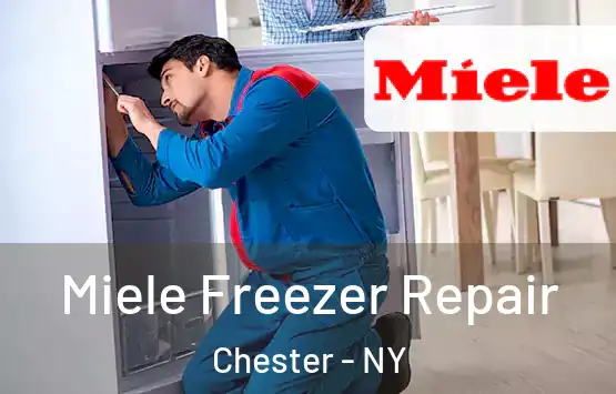  Miele Freezer Repair Chester - NY