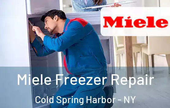  Miele Freezer Repair Cold Spring Harbor - NY