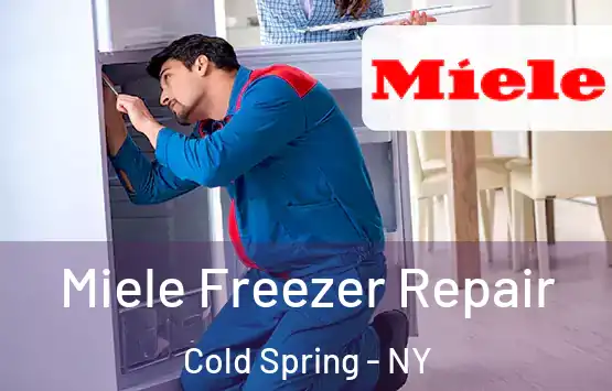  Miele Freezer Repair Cold Spring - NY