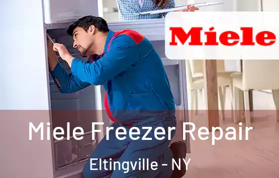  Miele Freezer Repair Eltingville - NY