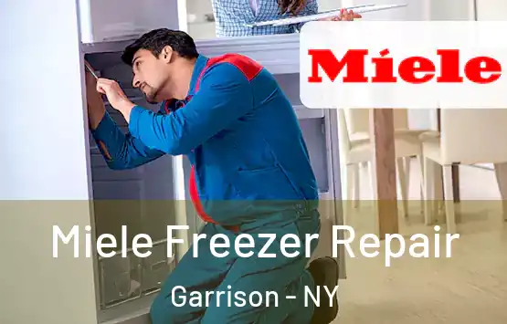  Miele Freezer Repair Garrison - NY