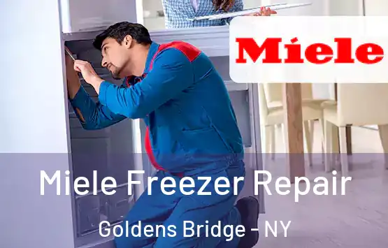  Miele Freezer Repair Goldens Bridge - NY
