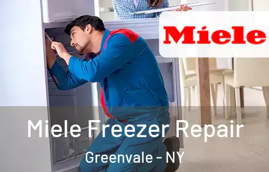  Miele Freezer Repair Greenvale - NY