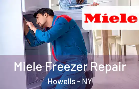  Miele Freezer Repair Howells - NY