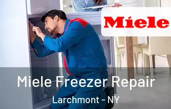  Miele Freezer Repair Larchmont - NY