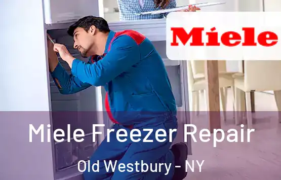  Miele Freezer Repair Old Westbury - NY