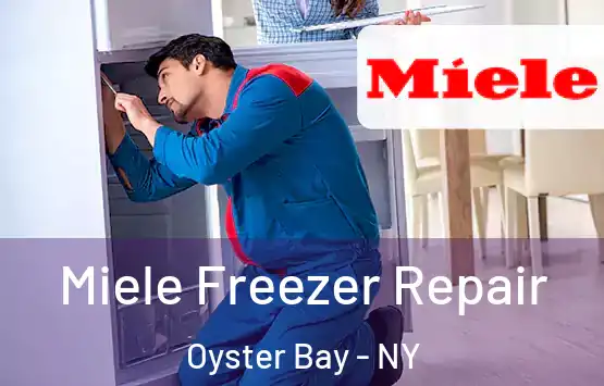  Miele Freezer Repair Oyster Bay - NY