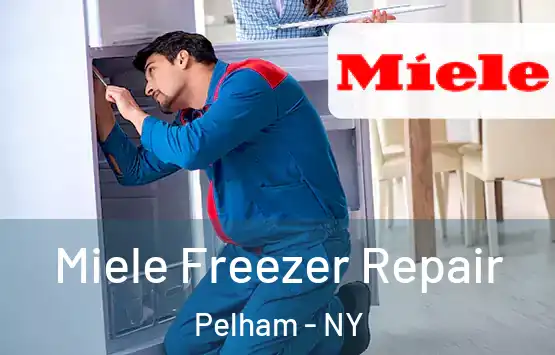  Miele Freezer Repair Pelham - NY