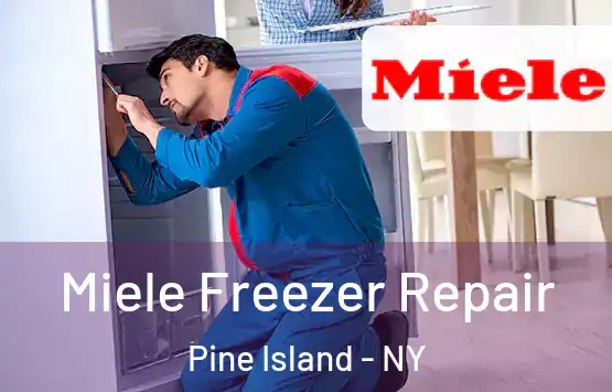  Miele Freezer Repair Pine Island - NY