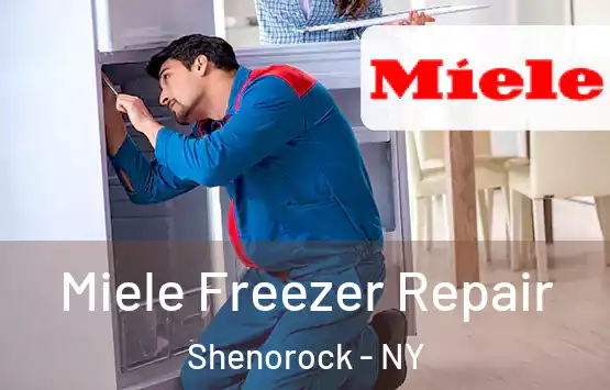  Miele Freezer Repair Shenorock - NY