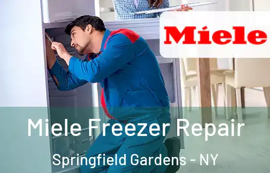  Miele Freezer Repair Springfield Gardens - NY