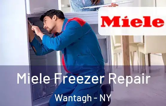  Miele Freezer Repair Wantagh - NY