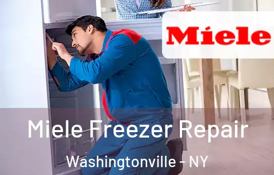  Miele Freezer Repair Washingtonville - NY