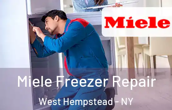  Miele Freezer Repair West Hempstead - NY