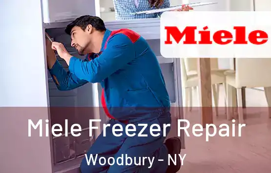  Miele Freezer Repair Woodbury - NY
