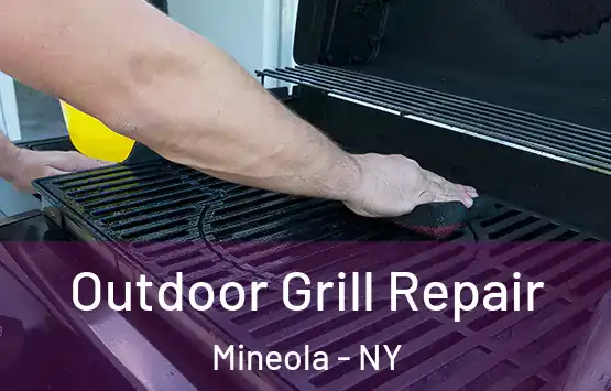  Outdoor Grill Repair Mineola - NY