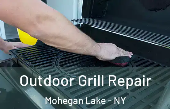  Outdoor Grill Repair Mohegan Lake - NY