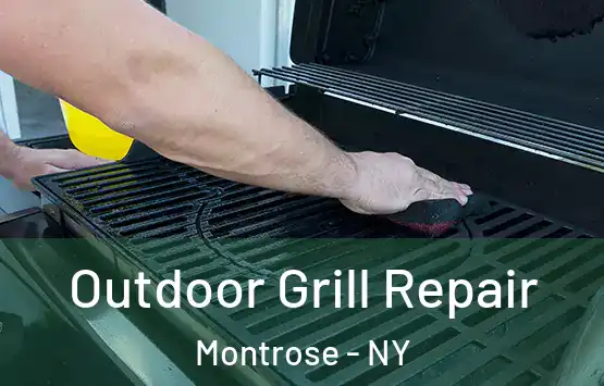  Outdoor Grill Repair Montrose - NY