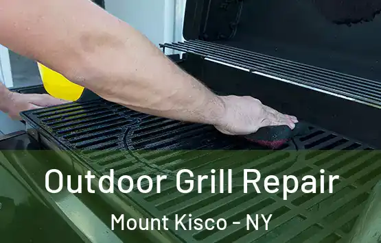  Outdoor Grill Repair Mount Kisco - NY