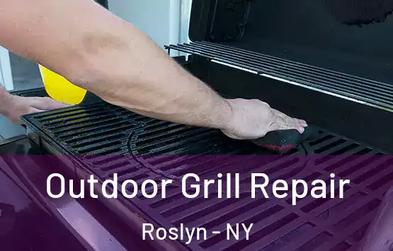  Outdoor Grill Repair Roslyn - NY