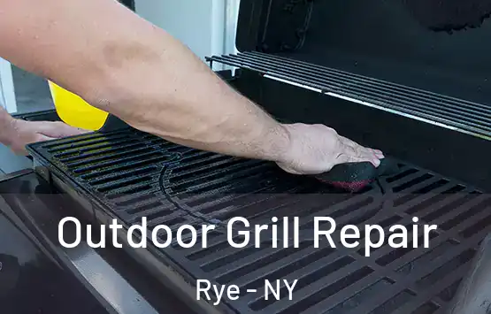  Outdoor Grill Repair Rye - NY
