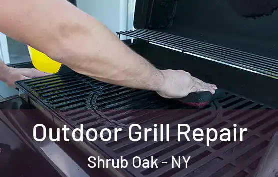  Outdoor Grill Repair Shrub Oak - NY