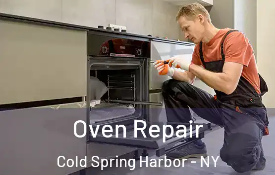  Oven Repair Cold Spring Harbor - NY