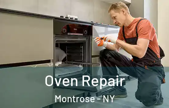  Oven Repair Montrose - NY