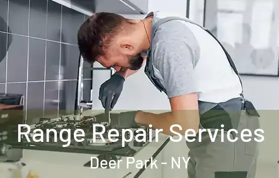  Range Repair Services Deer Park - NY