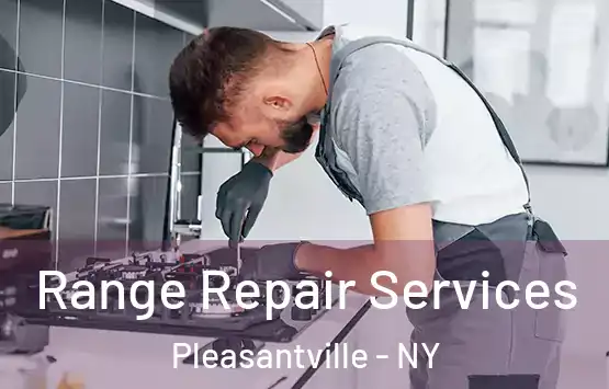  Range Repair Services Pleasantville - NY