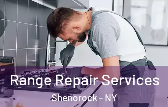  Range Repair Services Shenorock - NY