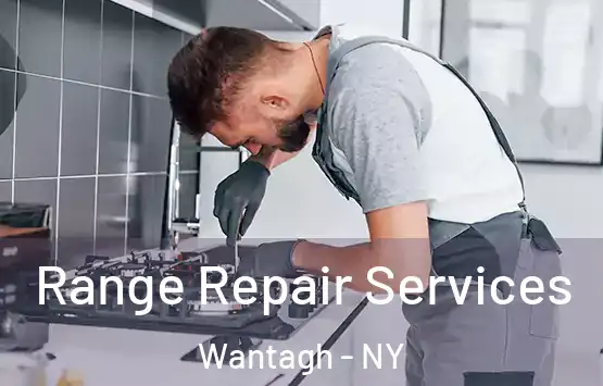 Range Repair Services Wantagh - NY