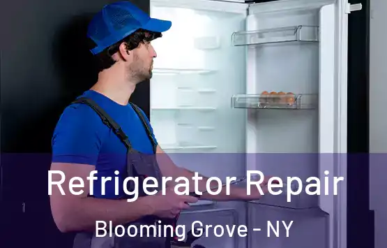  Refrigerator Repair Blooming Grove - NY