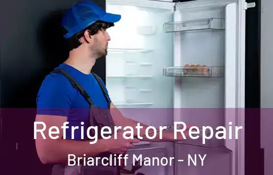  Refrigerator Repair Briarcliff Manor - NY